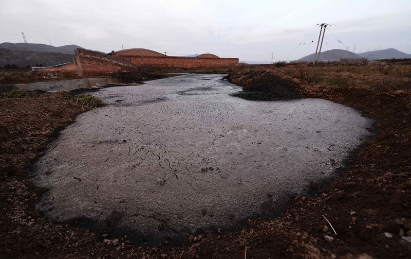 薯渣廢棄物 薯渣廢棄物