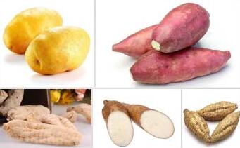 紅薯清洗設(shè)備-揉搓淘洗機