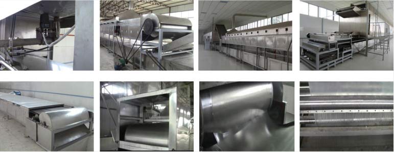 粉條生產(chǎn)線圖片展示