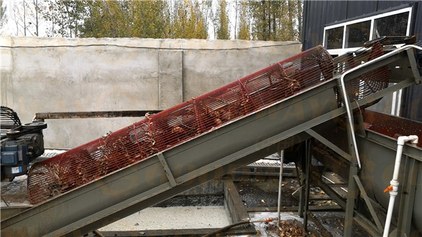 紅薯自動清洗機