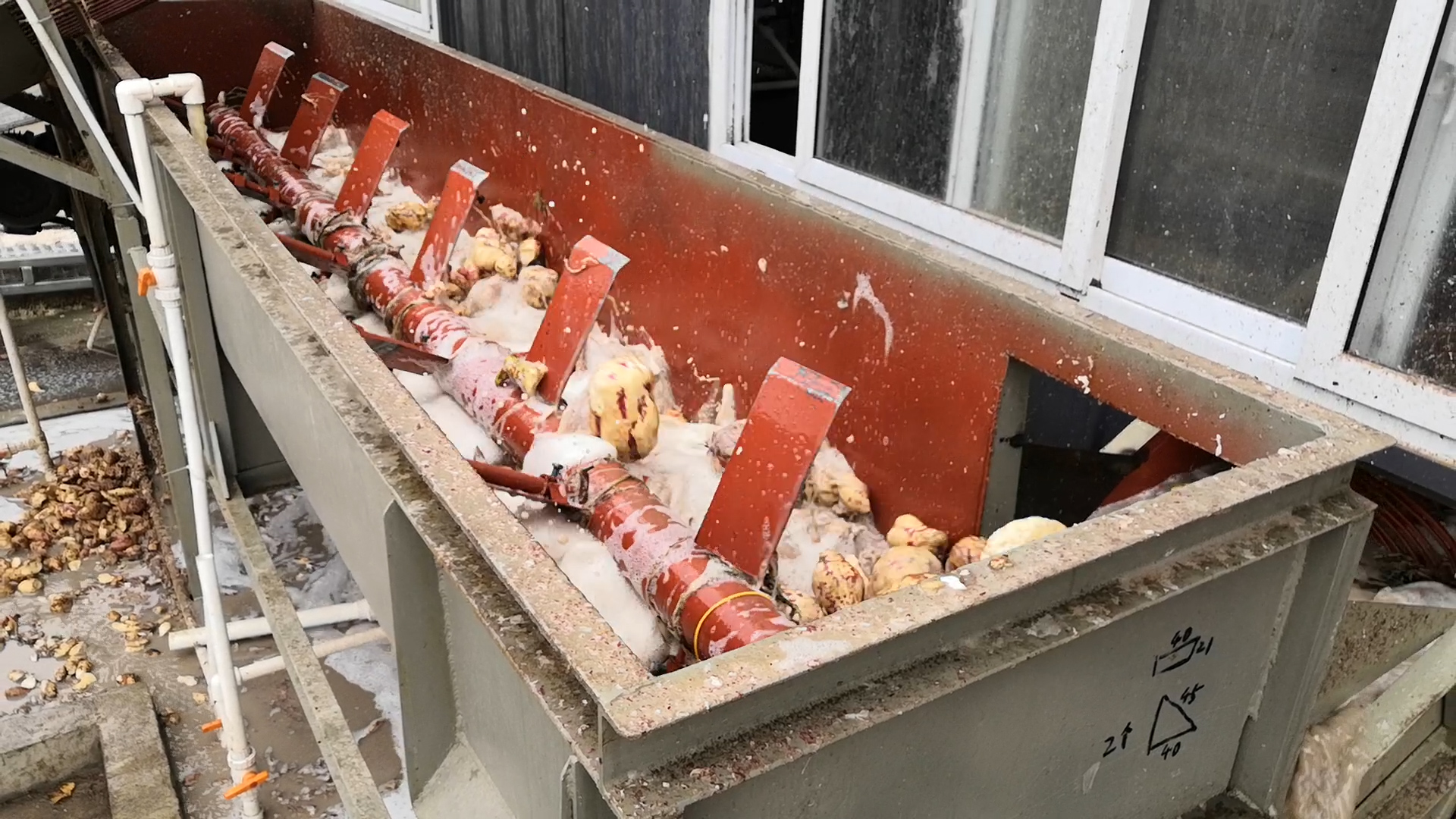 淀粉加工設備-清洗機